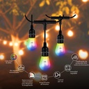 Guirnalda de luces inteligentes Nexxt Solutions Connectivity - RGB 24 Bulbs/48ft