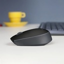 Mouse Inalámbrico para Computadora Logitech M170 color negro