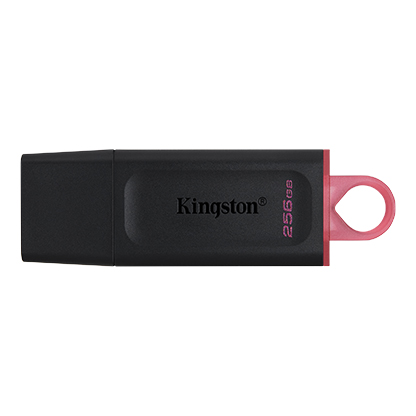 Kingston DataTraveler Exodia - Unidad flash USB - 256 GB - USB 3.2 Gen 1 - negro/rosa