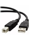 Cable Xtech USB a USB Tipo B 3.04 metros