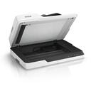 Escáner Epson DS-1630 a dos caras B11B239201