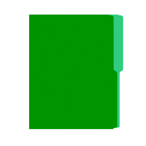 FOLDER FLASHFILE CARTA VERDE LIMON (5X100)