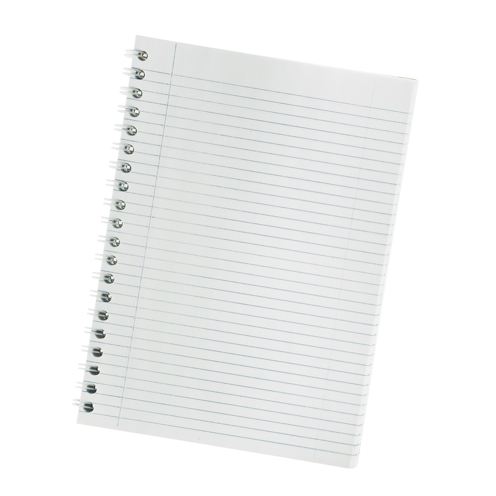 CUADERNO CON ESPIRAL 3049 100H. RAYADO 