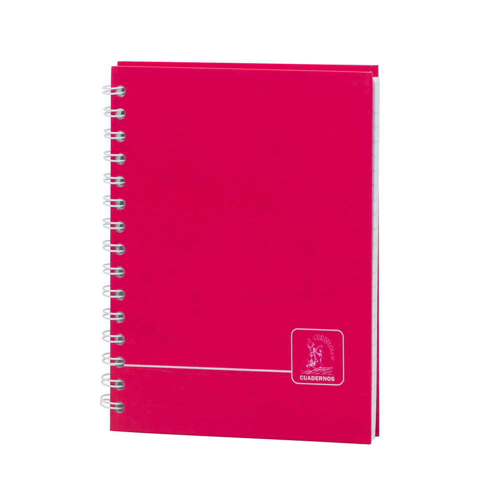 CUADERNO DOBLE ANILLO CONQUISTADOR 100H. T/DURA NO. 2 RAYADO