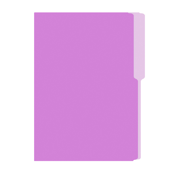 FOLDER FLASHFILE OFICIO LILA 