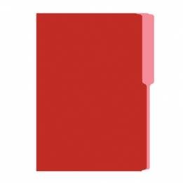 FOLDERS FLASHFILE OFICIO ROJO 