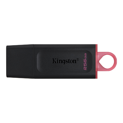 Memoria USB Kingston DataTraveler Exodia, 256 GB - USB 3.2 Gen 1 - negro/rosa