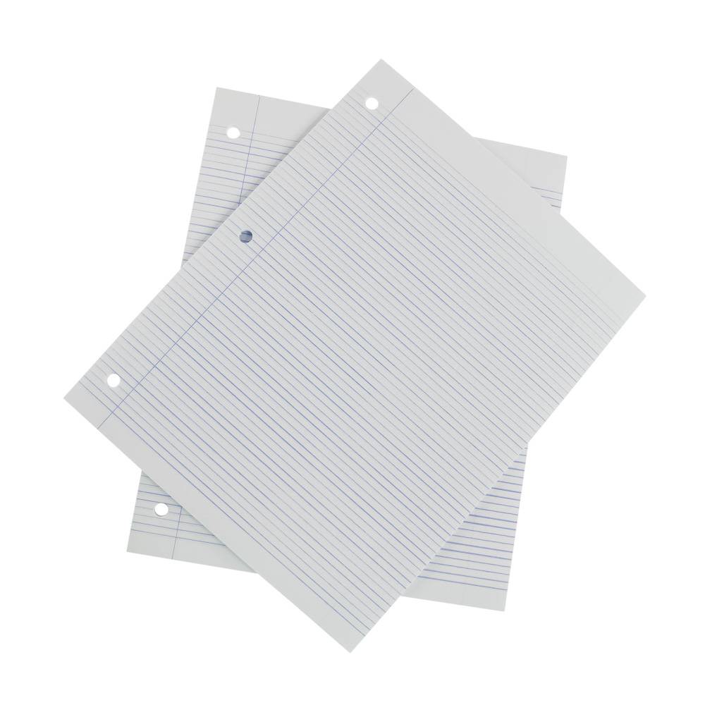 HOJAS CARTA PACASA BX100 DOBLE LINEA