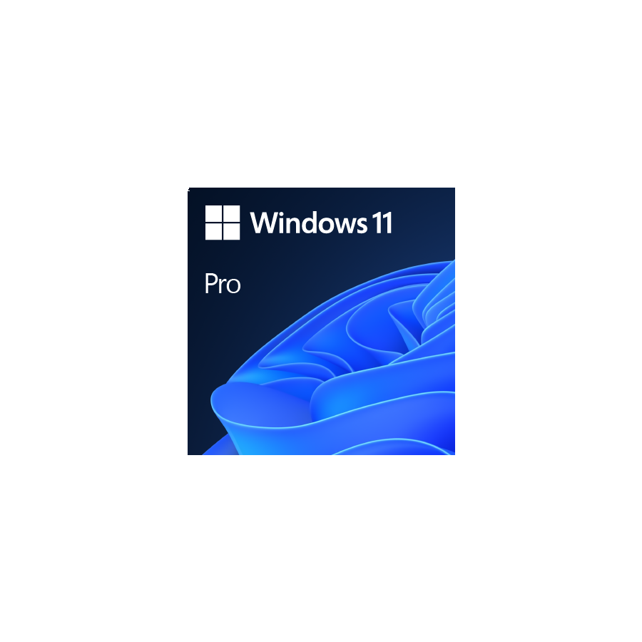 Windows 11 Pro 1 licencia CD-ROM (DVD) Español