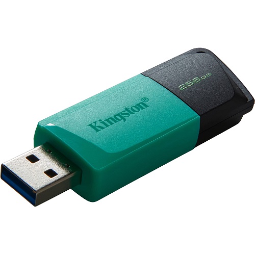 Memoria USB Kingston - 256 GB - USB 3.0 - Black Teal