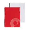 CUADERNO DOBLE ANILLO VIVO 100H 239954 CUADROS