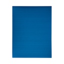 Carton Corrugado Fast PX10 Tamaño Carta Aqua