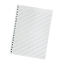 CUADERNO CON ESPIRAL 3049 100H. RAYADO 