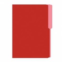 FOLDERS FLASHFILE OFICIO ROJO 