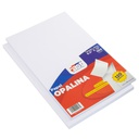 PAPEL OPALINA FAST PX100 BLANCO OFICIO 