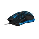 Mouse Xtech - XTM-411 USB